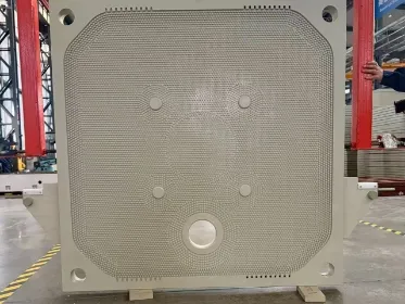 Food Grade Filter Press Plate vs Standard PP Plates